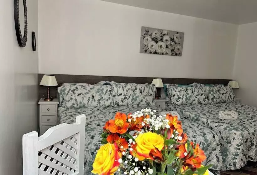 ペンション Casa Balthazar Hostel