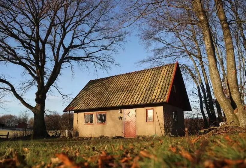 ペンション Comfy Guest House In Countryside