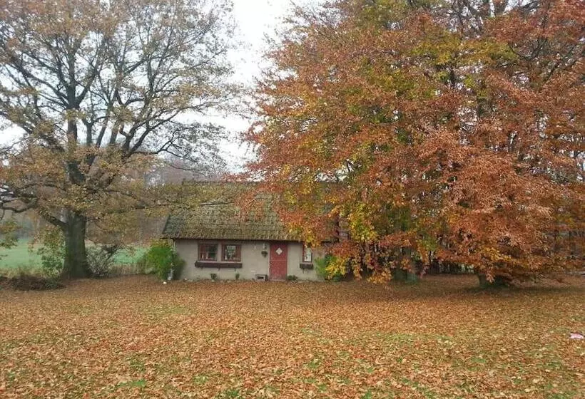 ペンション Comfy Guest House In Countryside