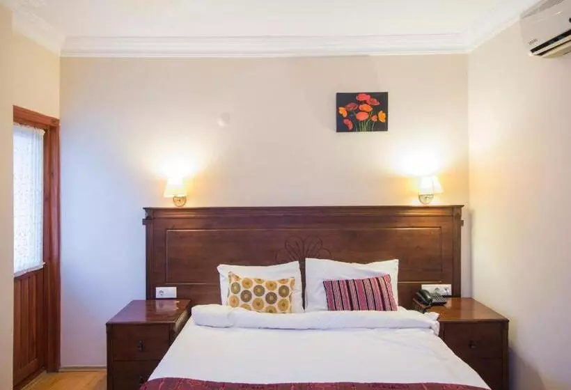 پانسیون Ramos Boutique Hotel Sultanahmet