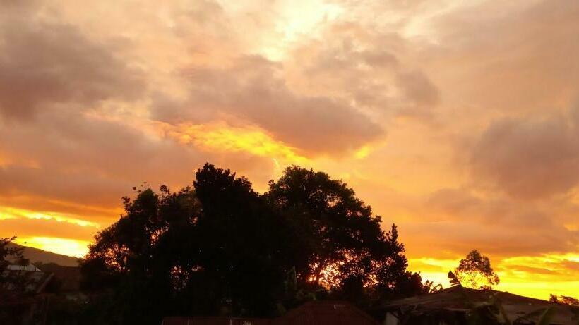 Пансион Tange Guest House