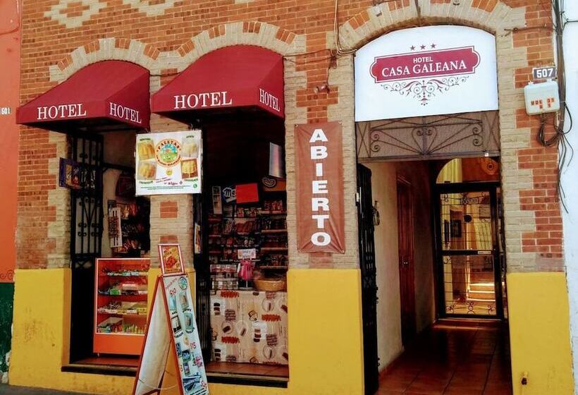 בית מלון כפרי Casa Galeana