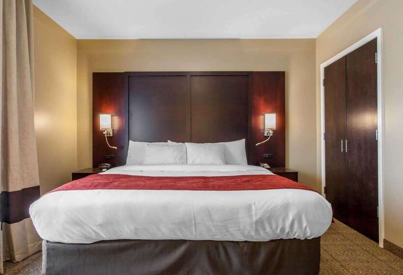 Отель Comfort Suites Youngstown North