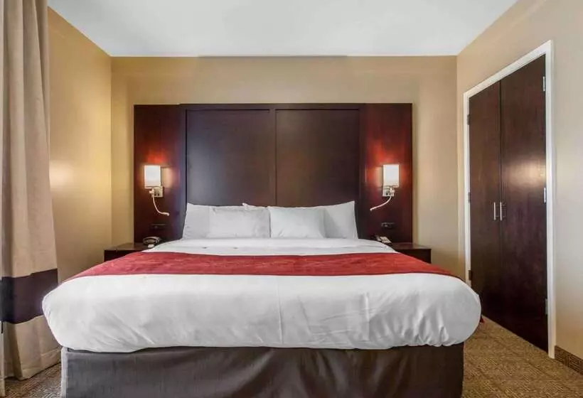 فندق Comfort Suites Youngstown North