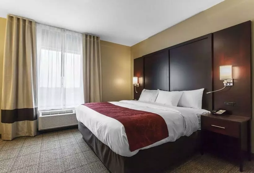 فندق Comfort Suites Youngstown North