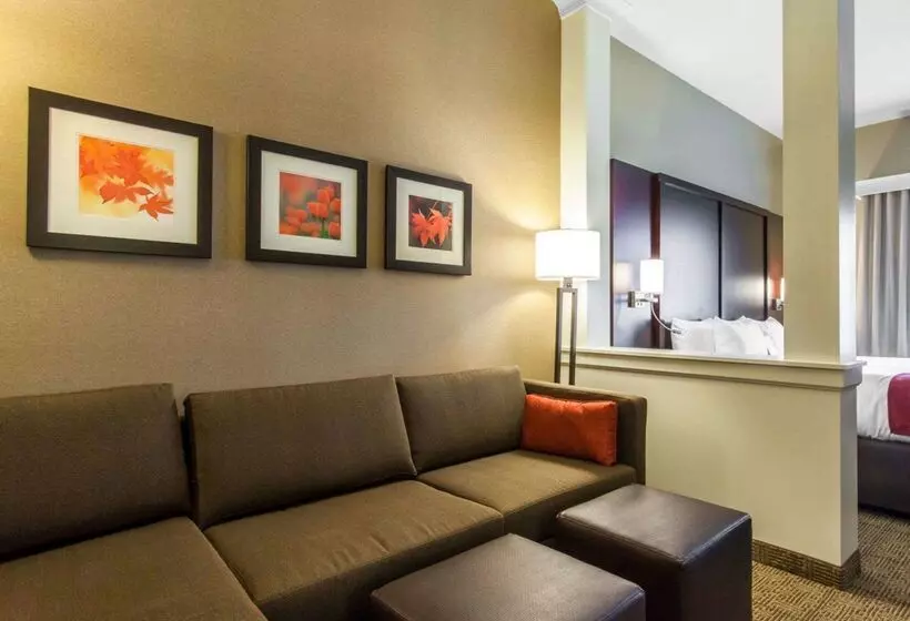 فندق Comfort Suites Youngstown North