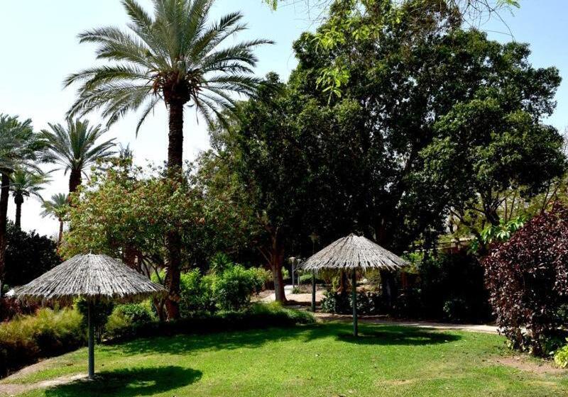 Hotel כפר נופש קליה ים המלח