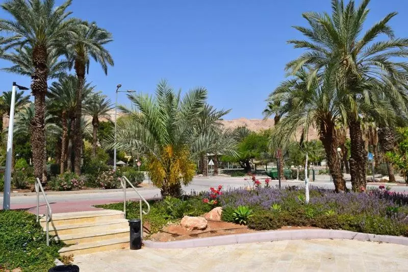 ホテル כפר נופש קליה ים המלח