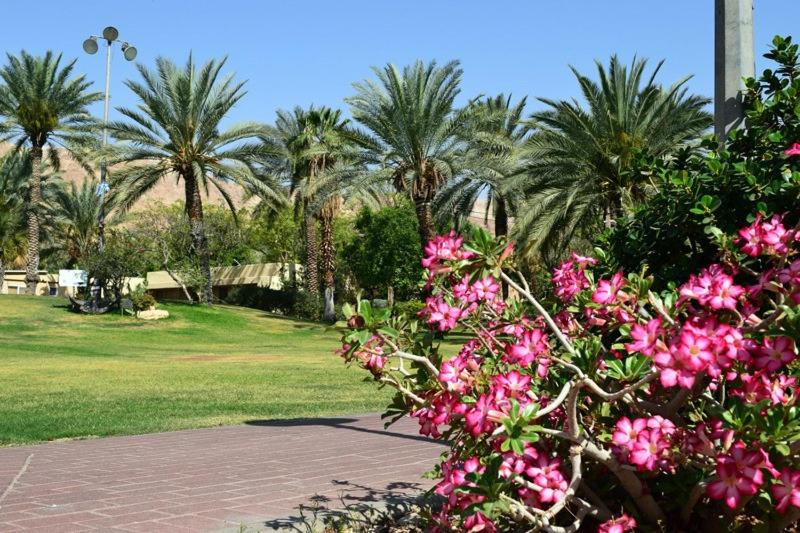 Hotel כפר נופש קליה ים המלח