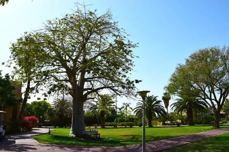 ホテル כפר נופש קליה ים המלח