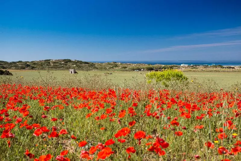 乡村酒店  Tenuta Del Barco