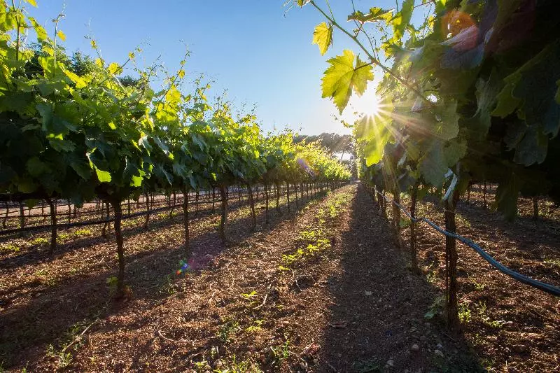 乡村酒店  Tenuta Del Barco