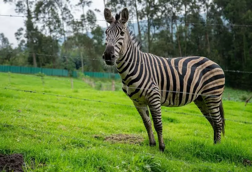 ホテル Boutique La Casona De La Moreria