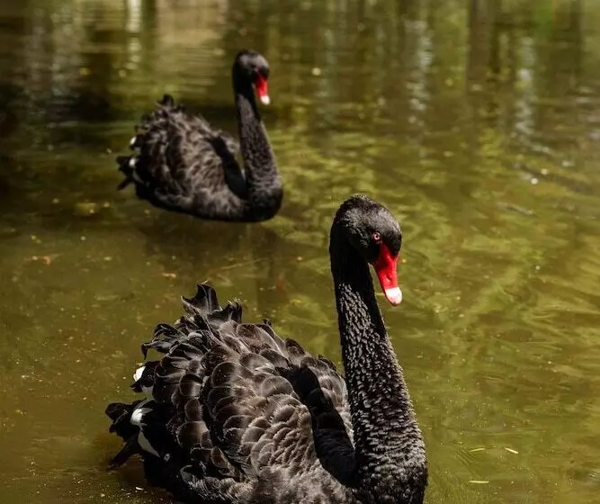 ホテル Boutique La Casona De La Moreria