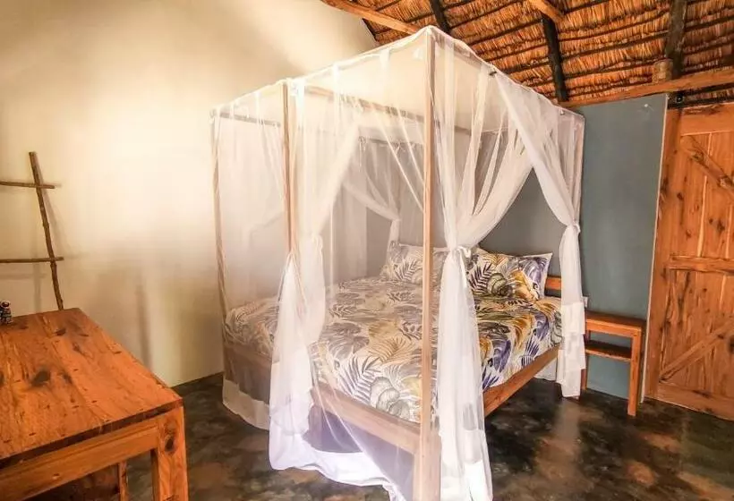 هاستل Kitesurf Tofo House