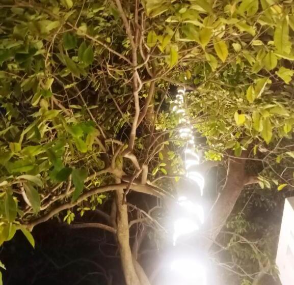 Отель Green Hub Pool Villa With Nature