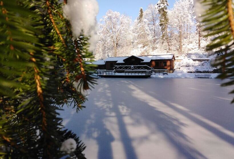 בית מלון כפרי Vodník
