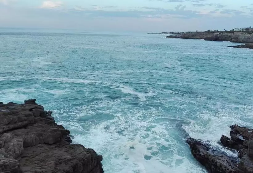 ペンション Cottage In Voëlklip Between Mountain And Sea