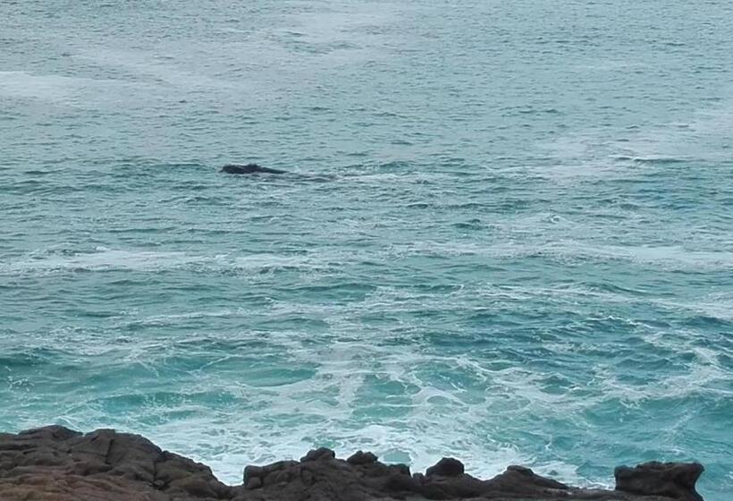 펜션 Cottage In Voëlklip Between Mountain And Sea