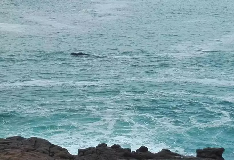 ペンション Cottage In Voëlklip Between Mountain And Sea