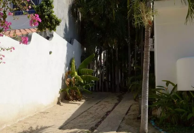 هتل Alto De La Sierra V.huatulco Rotamundos