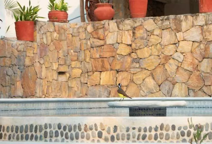 هتل Alto De La Sierra V.huatulco Rotamundos