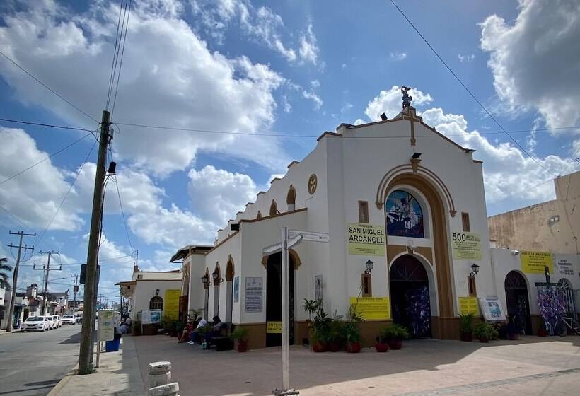 Kippal   Modern Oasis   Apart