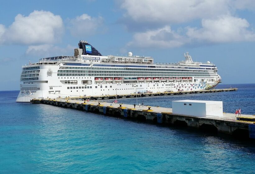 Kippal   Modern Oasis   Apart