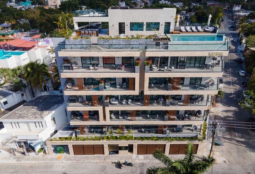 Kippal   Modern Oasis   Apart