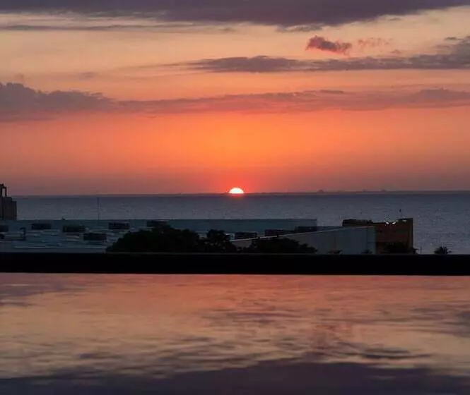 Kippal   Modern Oasis   Apart