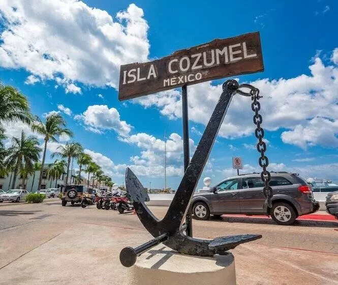 Kippal   Modern Oasis   Apart