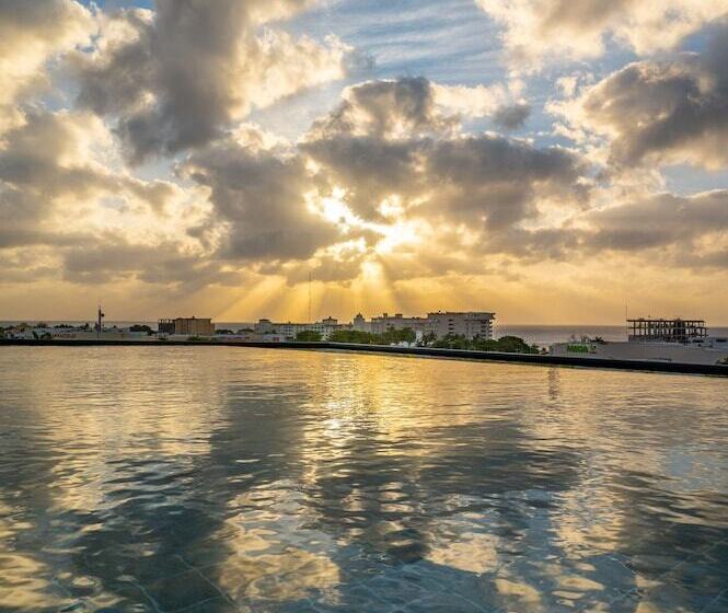 Kippal   Modern Oasis   Apart