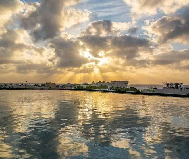 Kippal   Modern Oasis   Apart