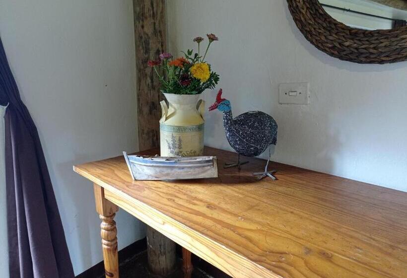 Отель Hollybrooke Adventure Farm