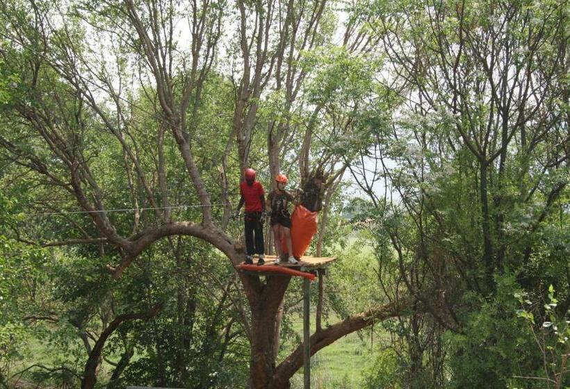 Отель Hollybrooke Adventure Farm