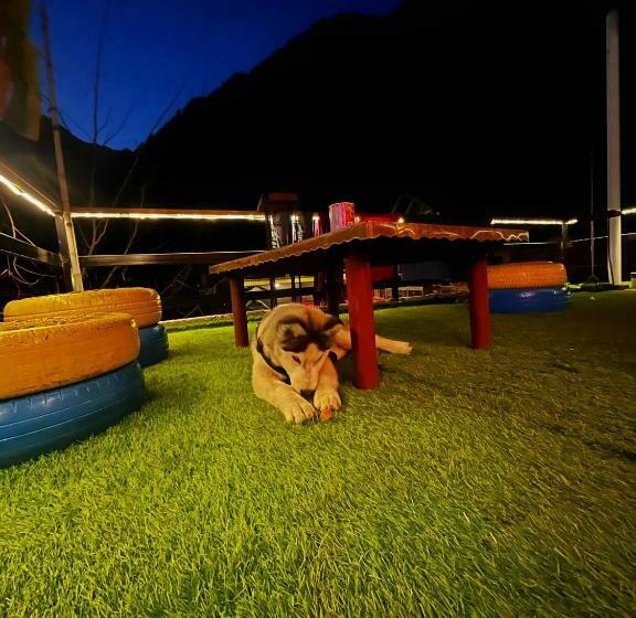 Nirvana By Oztel   Backpacker Hostel