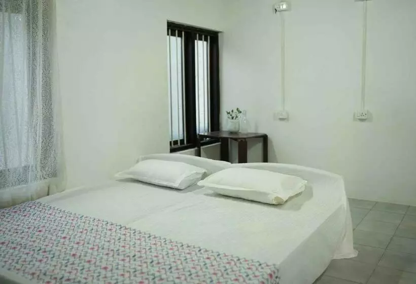 Zebra Hostels