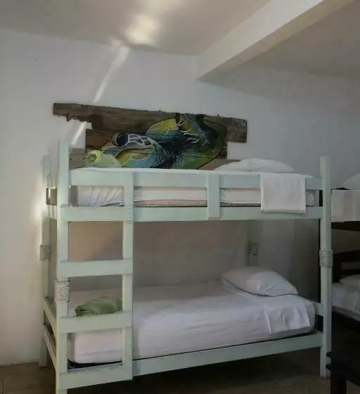 هاستل Maya Jade Surf Dorm
