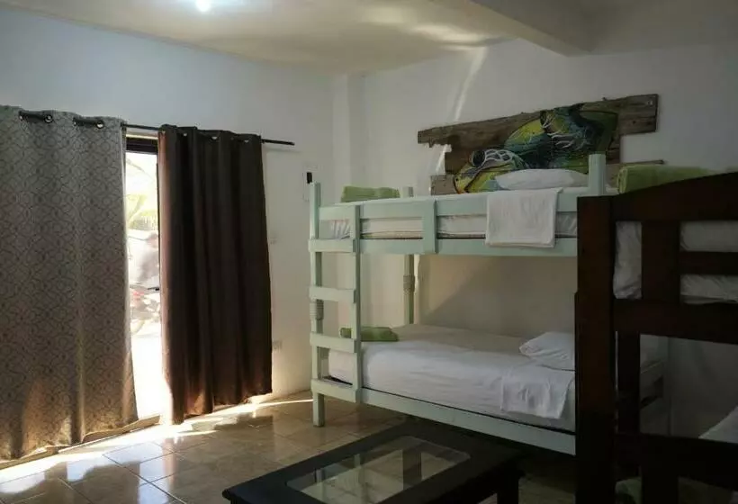 هاستل Maya Jade Surf Dorm
