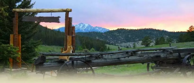 ユースホステル Rocky Mountain Cabins Of Buena Vista