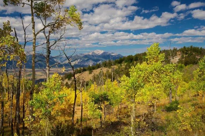 ユースホステル Rocky Mountain Cabins Of Buena Vista