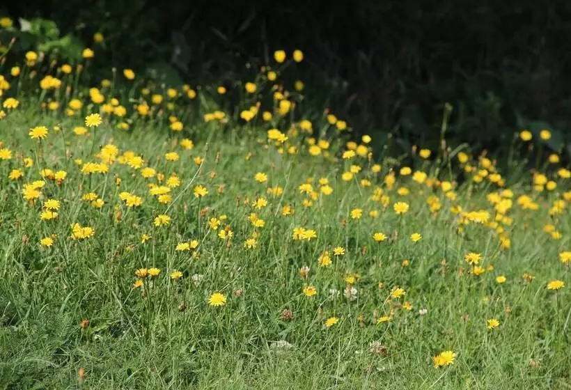Majatalo Room In Lodge   Luther King Grande Chambre Décor Moderne Et Relaxe