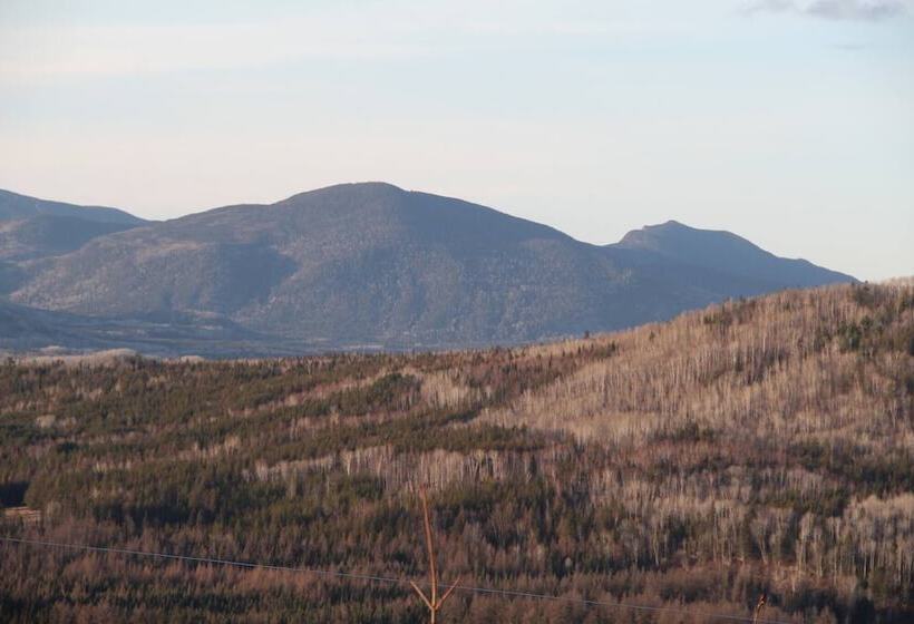 بنسيون Room In Lodge Luther King Grande Chambre Décor Moderne Et Relaxe