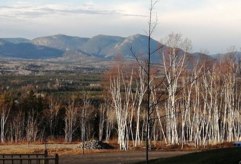 膳宿费 Room In Lodge Luther King Grande Chambre Décor Moderne Et Relaxe