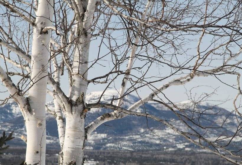 膳宿费 Room In Lodge Luther King Grande Chambre Décor Moderne Et Relaxe