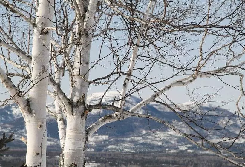 Majatalo Room In Lodge   Luther King Grande Chambre Décor Moderne Et Relaxe