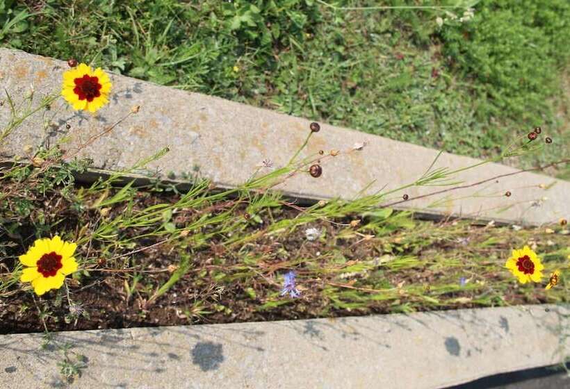 膳宿费 Room In Lodge Luther King Grande Chambre Décor Moderne Et Relaxe