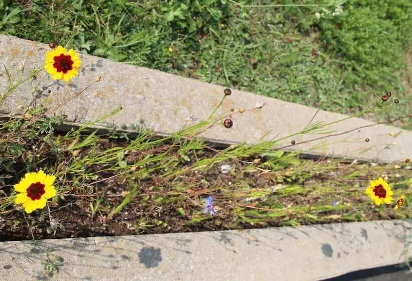 Majatalo Room In Lodge   Luther King Grande Chambre Décor Moderne Et Relaxe