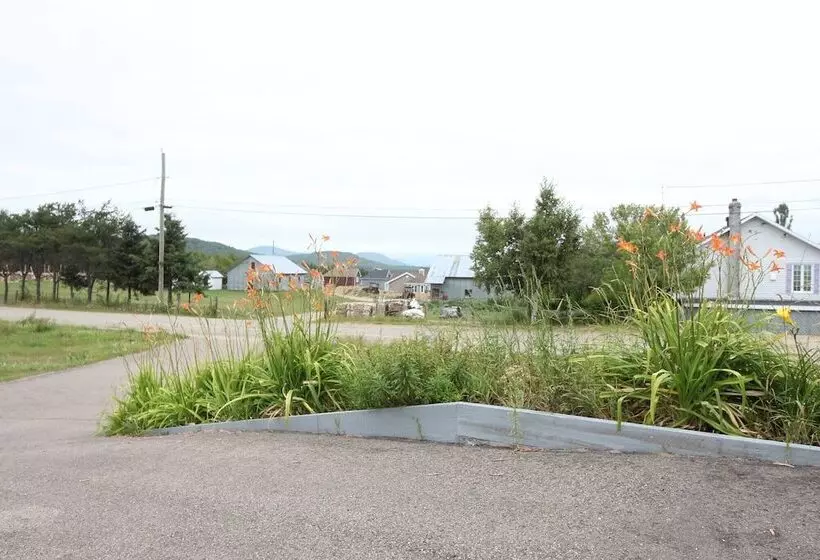 Majatalo Room In Lodge   Luther King Grande Chambre Décor Moderne Et Relaxe