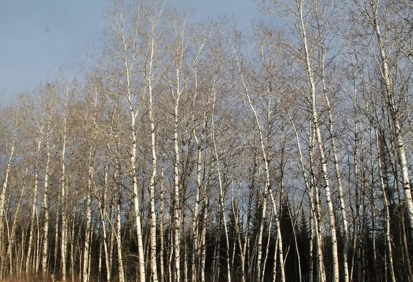 Majatalo Room In Lodge   Luther King Grande Chambre Décor Moderne Et Relaxe
